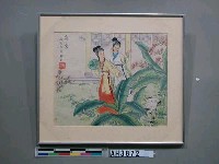 藏品(窺窗)的圖片